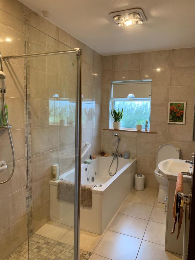 Bridgeview B&B Енніс Екстер'єр фото
